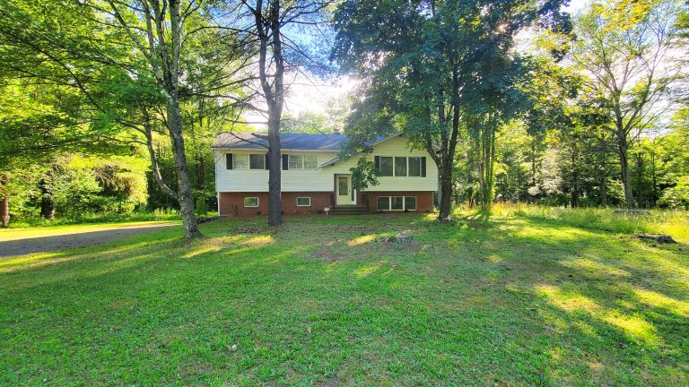 Read more about the article 3 Bedroom Large Home with Expansive Outdoor Space in Greene County